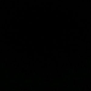 Meet your Posher, Zoe